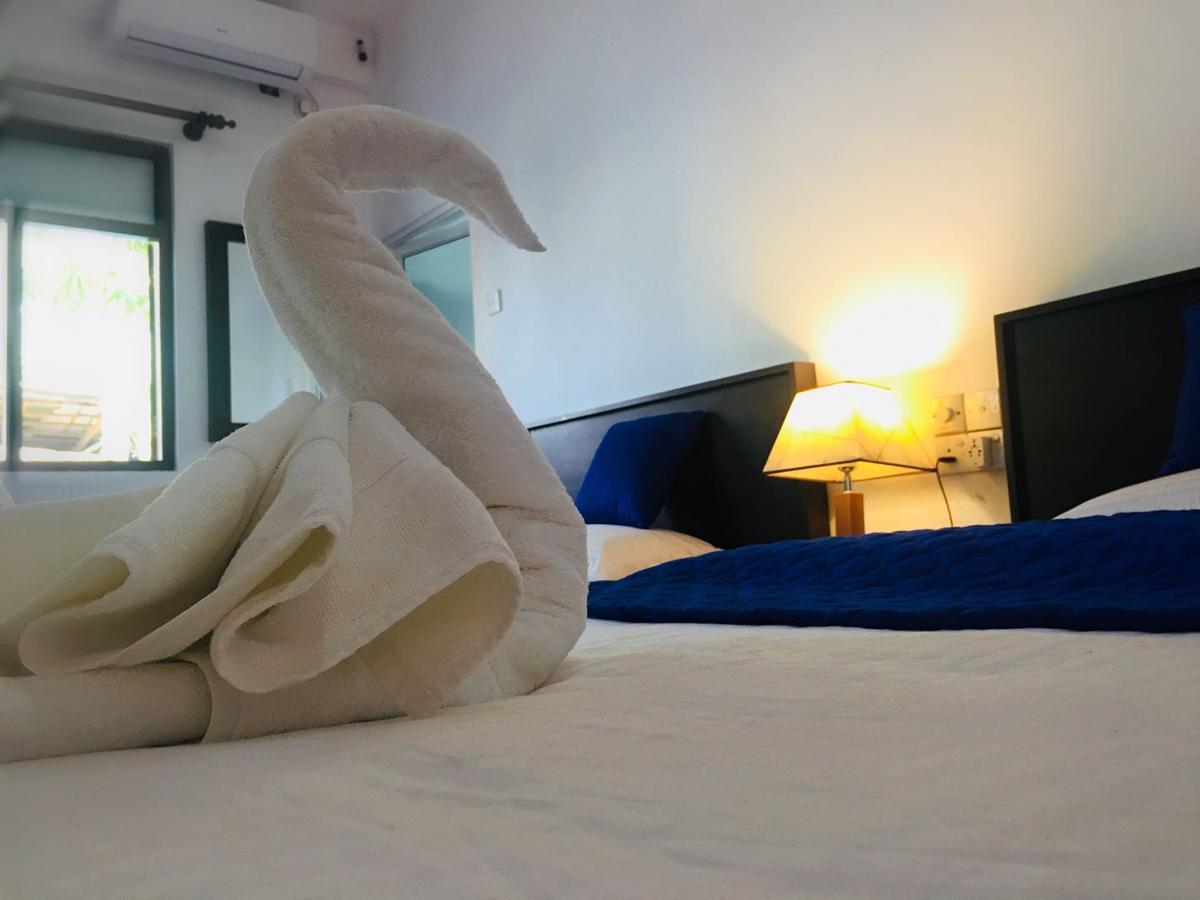 Blue Whale Holiday Hotel Mirissa Quarto foto